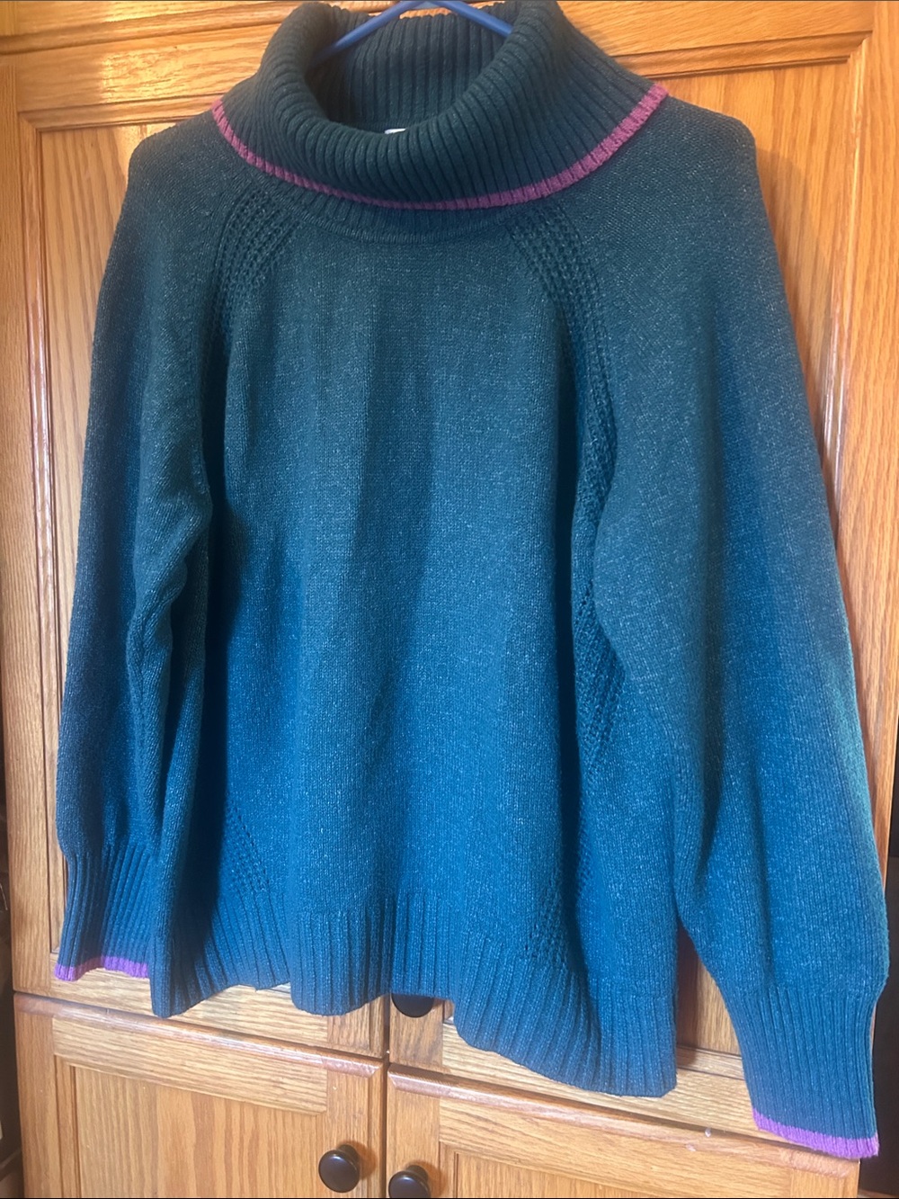 Northern Reflections Dark Teal Turtleneck Sweater with Pink Trim